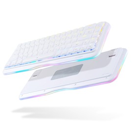 DIERYA K68se Gaming Mechanical Keyboard,60% Percent Keyboard with Red Linear Switch,RGB Backlight,Ultra-Compact Mini 68 Keys Anti-Ghosting for PC Windows Gamer Typist