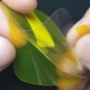Tznzxm For Spade & Co Health Smartwatch 4 Screen Protector
