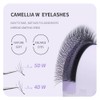 ANNAFRIS Eyelash Extension 4D Camellia W Lashes 0.07 C 8-15mm