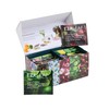 EZR Leaf Herbal Tea Assortment Box 22CT, Presentation Sampler, Gift