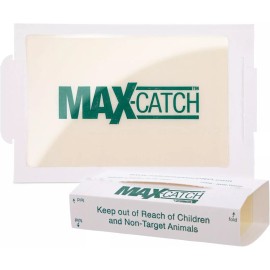Catchmaster Max-Catch Mouse & Insect Glue Trap 36Pk, Mouse Traps Indoor for Home