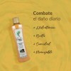 Kit Shampoo Anticaída + Acondicionador Árbol Verde 500 Ml