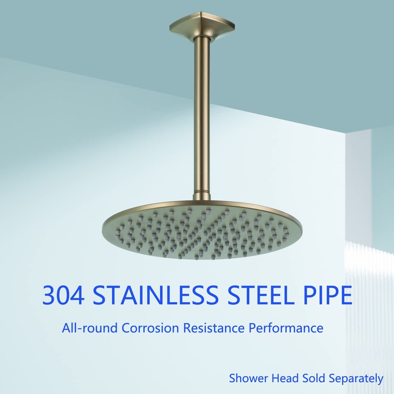 SWHYGER 8 Inch Ceiling Mount Shower Arm and Flange,Straight Arm