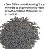 Planters ll | Trace Minerals to Support Healthy Plant Growth