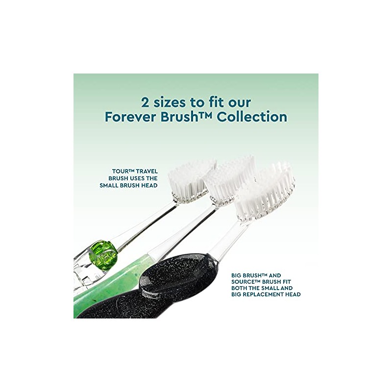 RADIUS Source Replacement Heads, Soft Bristles, 2 Count (Pack of