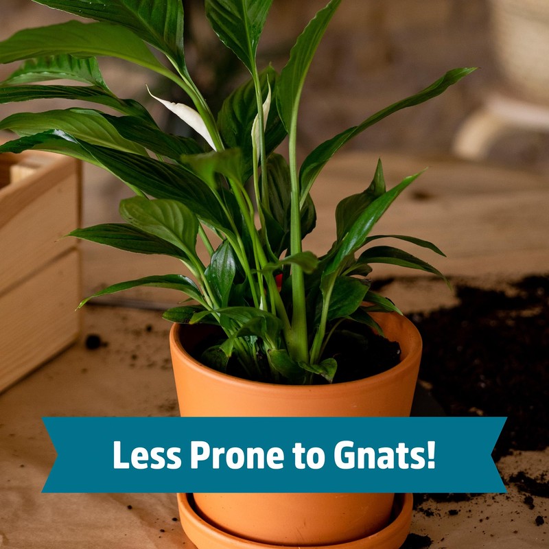 6qt Compressed Indoor Soil