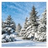 20 Napkins Fir and Snow 33 x 33 cm