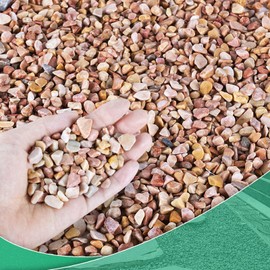 Succulent Rocks for Plants Tiny Pebbles for Planters 7.8LB Pea Gravel Bulk Course Sand Soil Small Decorative Stones for Indoor Bonsai Pots Cactus Top Dressing Aquarium Garden Landscape, Red