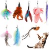 SUBANG 8 Pieces Cat Feather Toys Replacement Bird Insect Cat