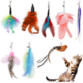 SUBANG 8 Pieces Cat Feather Toys Replacement Bird Insect Cat Toy Wand Refills Cats Toy Replacement Natural Bird Feathers for Cats Toys
