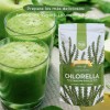 Chlorella Orgánica Pura De Pared Celular Rota 250 Gramos