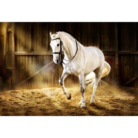 LFEEY 10x8ft Western Photography Backdrops Countryside West Cowboy Horse in The Stable Photo Background Photo Studio Props