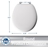 Plexon Toilet Seat with Chrome Hinges, Round, Durable Enameled Wood,