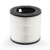 BOSCH Air 2000 Air Purifier Replacement Filter, 3-In-1 Filter, Activated