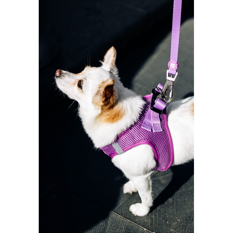 DUKIER - Dog Body Harness, Adjustable and Sturdy Body Armour,