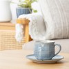 Marui Pottery MR-3-4399 Shigaraki Ware Hechimon Cup & Saucer, Capacity: