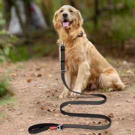 Tacwild Adjustable Dog Training Leash, Reflective Long Lead for Dogs, Long Line Pet Leashes with Soft Grip Neoprene Padded for Small to Large Breeds Walking, Training (Black-M)