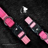 Reflective Nylon Pet Collar with Quick-Release Buckle – Adjustable, Durable,