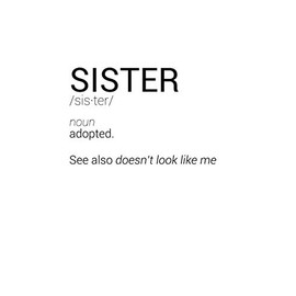 Funny Sister Definition Notebook: Blank Lined Journal (Best Sarcastic Gift): 6 x 9 inches // 120 Lined Blank Pages // College Ruled
