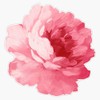 Flower Pink Peony Vinyl Waterproof Sticker Decal Car Laptop Wall
