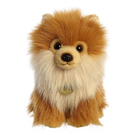 Aurora - Miyoni - Cachorro de Pomerania - 22.86cm.
