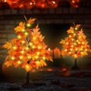 2 Pack 24 Inch Fall Decor Maple Tree - 2FT