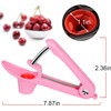Cherry Pitter Tool,Cherry Pitter Cherry Stone Remover Tool for Making