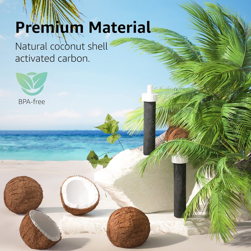 Water Bottle Filter Replacement for Brita BB06 Compatible with Brita