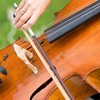 DaKuan 4/4 Full Set Violin Strings + 2 Bow Hair