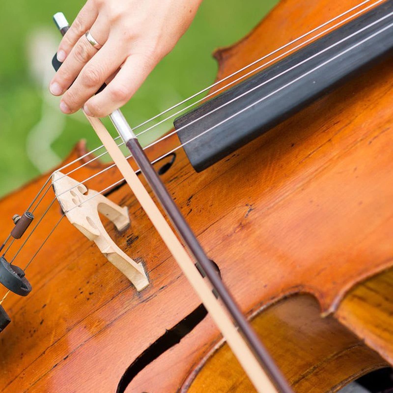 DaKuan 4/4 Full Set Violin Strings + 2 Bow Hair