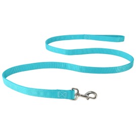 Coastal Pet Double-Ply Dog Leash - Bolt Snap Attachment to Collars and Harnesses - Nylon Dog Walking Leash for Small, Medium and Large Dogs - Teal - 1" x 6'