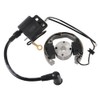 Stator Ignition Coil Stator Rotor Kit works with Flywheel Rotor