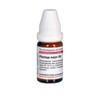 Plantago Major D 4 Globules 10 g