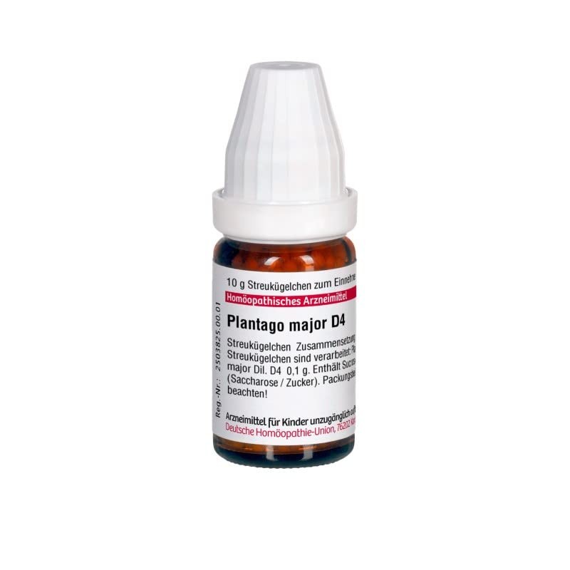 Plantago Major D 4 Globules 10 g