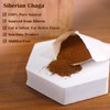 TEARELAE - Chaga Tea - 2g x 40 Count -