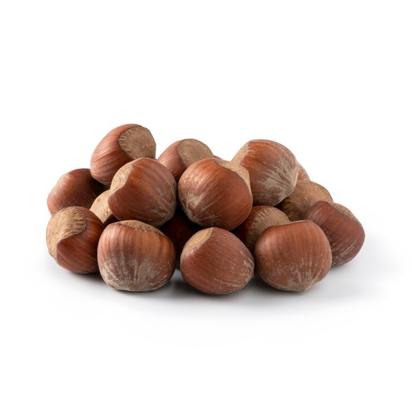 NUTS U.S. - Oregon Hazelnuts In shell | Whole, Raw and Unsalted | No Added Flavor and NON-GMO | Fresh Buttery Taste and Easy to Crack | Natural Unshelled Hazelnuts Packed in Resealable Bags!!! (1 LB)
