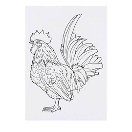 'Cockerel' Temporary Tattoo - Water Resistant, Skin-Safe, Non-Toxic Transfer (TO00044602)