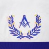 Masonic Regalia Blue Lodge Jr. Deacon Lambskin Aprons & Chain