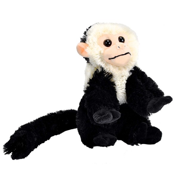 Wild Republic Capuchin Plush, Stuffed Animal, Plush Toy, Gifts for Kids, Cuddlekins 8 Inches, Multi (12274)
