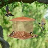 Bird Feeder,Outdoor Hanging Heavy Duty Metal Wild Bird Feeder Squirrel