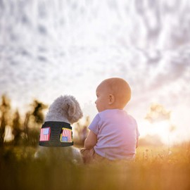 Hanshengday Tactical Dog Working Vest Training Harness No-Pull Adjustable Outdoor Military Vest with Rubble Handle Molle Loop Panels Black