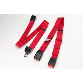 AMF Bruns H450199 Manual Pelvis Static Lap Belt, Red, 116" Total Length with Adjusters on Both Sides (Old PN: H350200)