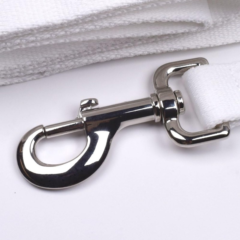 'Badger on his night walk' Dog Lead/Leash (DL00013806)