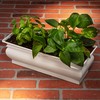 H Potter Herb Pots Indoor Planters with Drainage and Tray