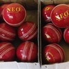 Neo Cricket Leather Ball, 2-Piece Construction, for T20 and 30-40