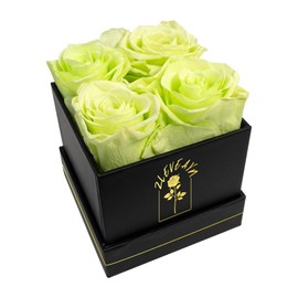 ZLEVEAYN 4 Pcs Fresh Preserved Roses in a Box Forever Real Flowers Birthday Valentine's Day Gifts Eternal Love for Her Women Mom(Green, Black Box)
