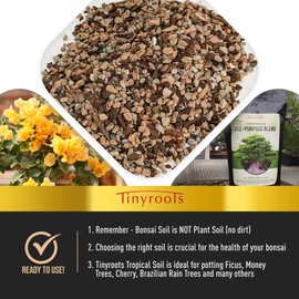 Tropical Bonsai Soil by Tinyroots - 100% Organic + Fast Draining Pre-Mixed Bonsai Potting Soil Mix, Perfect for Healthy Cacti and Bonsai Growth, 2.5 Quarts