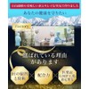 酸化マグネシウム サプリ マグネシウム サプリメント 1ヵ月分 180粒 Mgo 粒 富山 薬屋