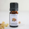 Aroma Theory | Frankincense Essential Oil 5ml - Grounding &