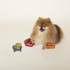 Fringe Studio Plush Dog Toy Set - Hunger Games 3-Piece